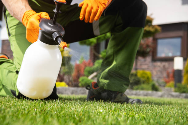 Flea Control Services in East Mckeesport, PA
